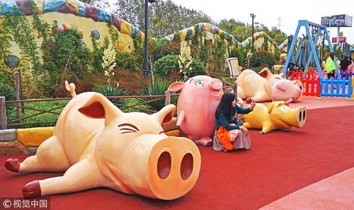 2019豬年,這些景點(diǎn)看豬 玩豬 保管你開心