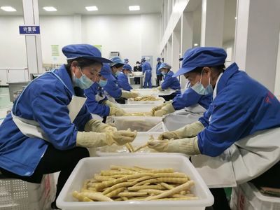 桐梓 龍頭企業帶動方竹筍精深加工，助推食品產業高質量發展